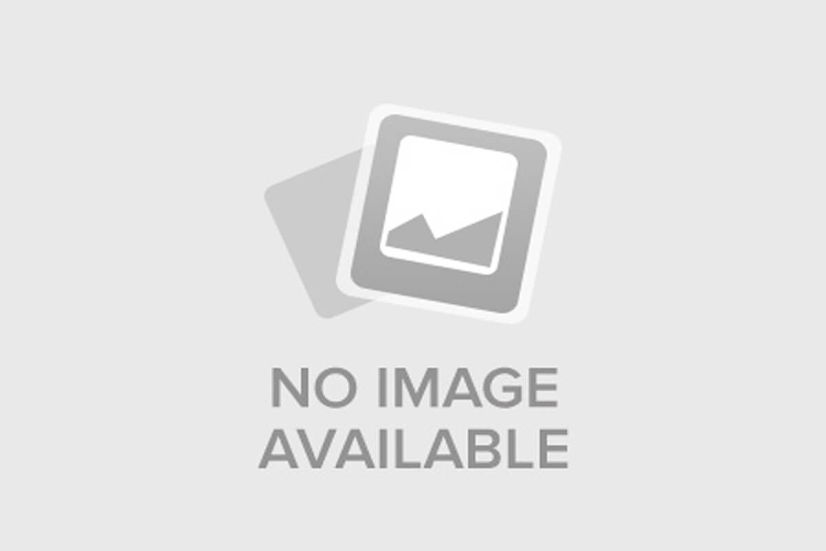 Долгая прогулка (2025)